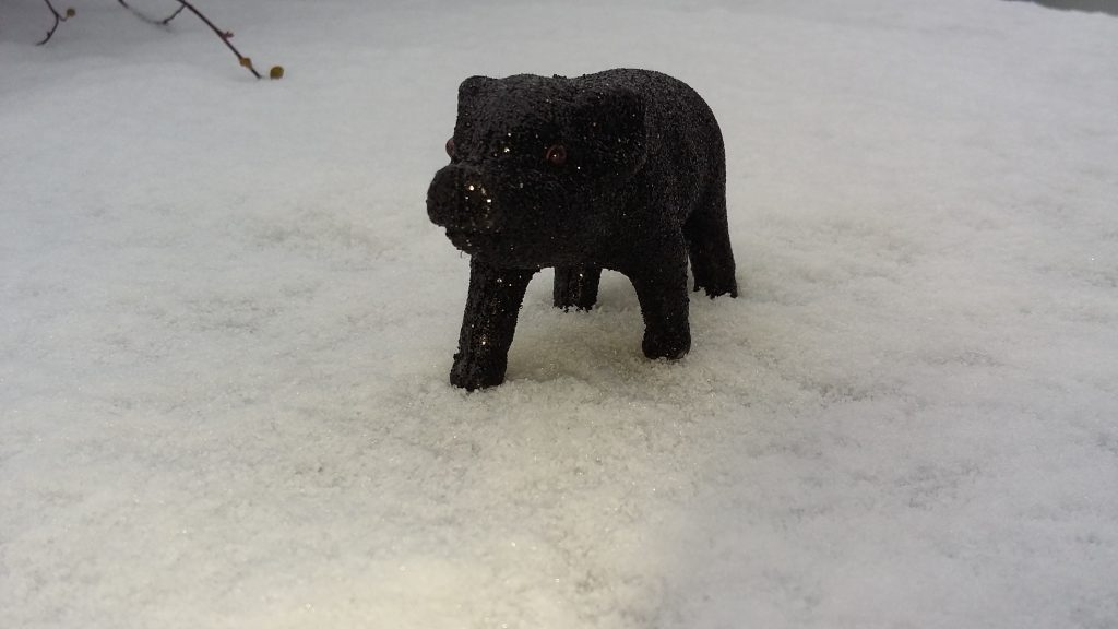 auf manchen Wegen bekommt man kalte Füße